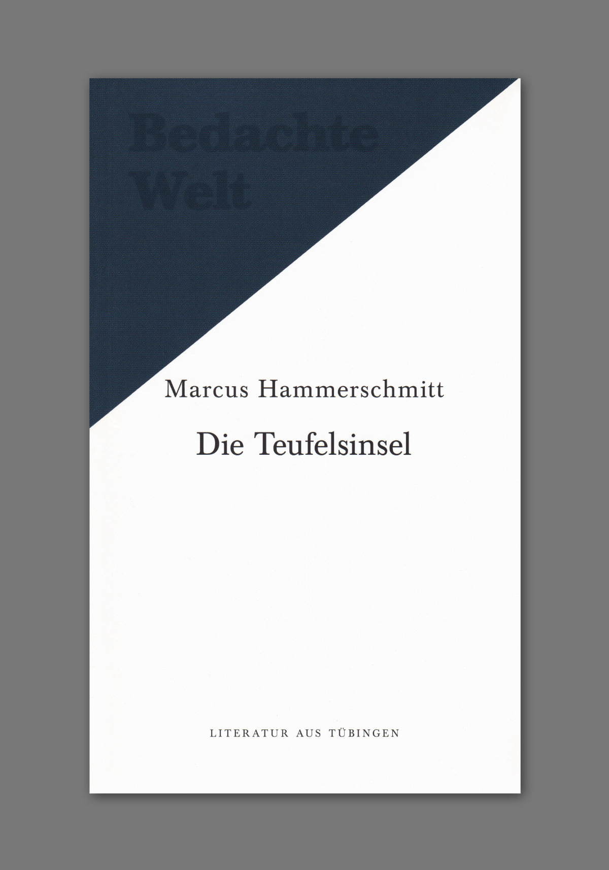 TeufelsinselCoverAbkl