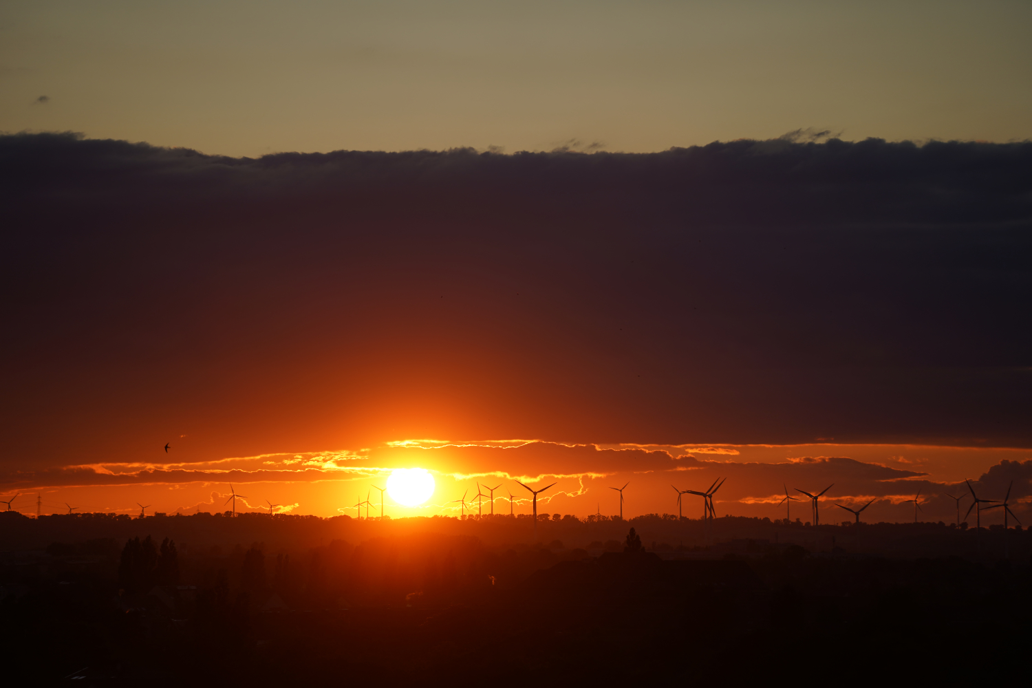 WindraederHorizont